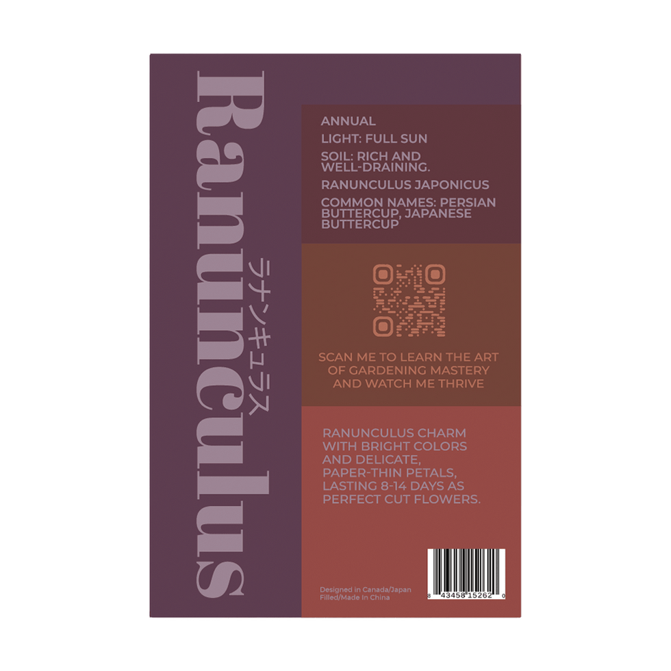 Ranunculus Flower Seeds Packet