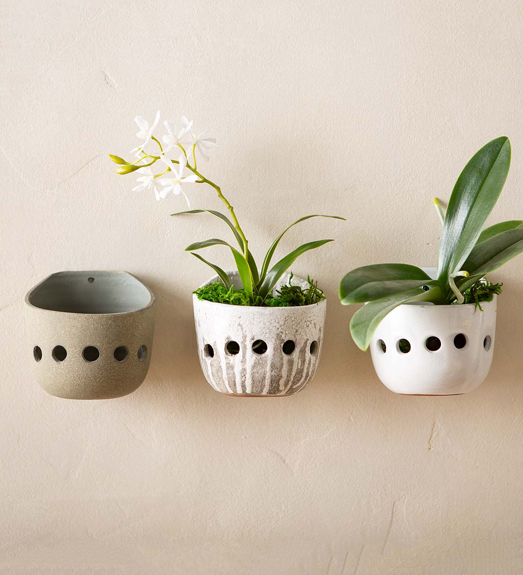 Terra-Cotta Orchid Wall Planter Distress