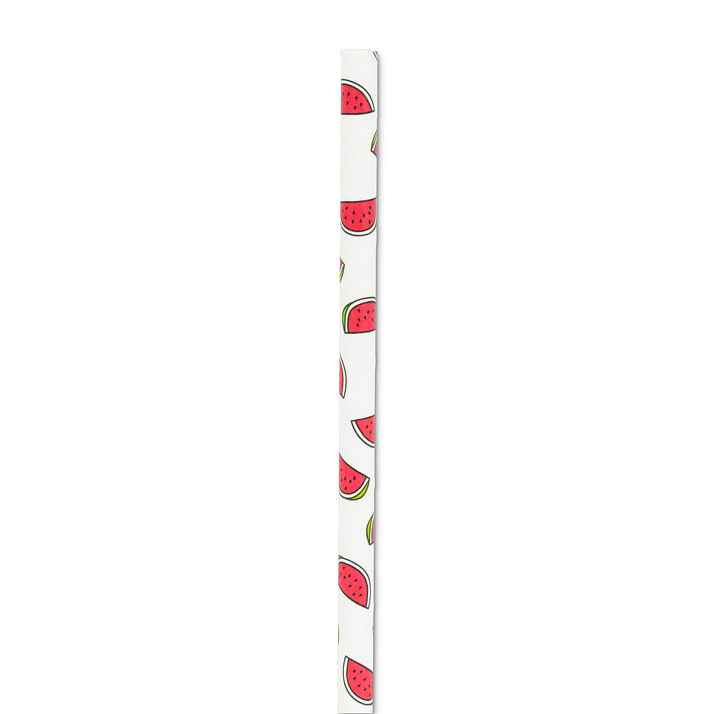Watermelon Cocktail Straws
