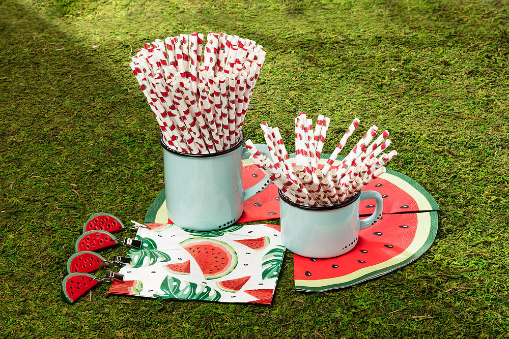 Watermelon Cocktail Straws