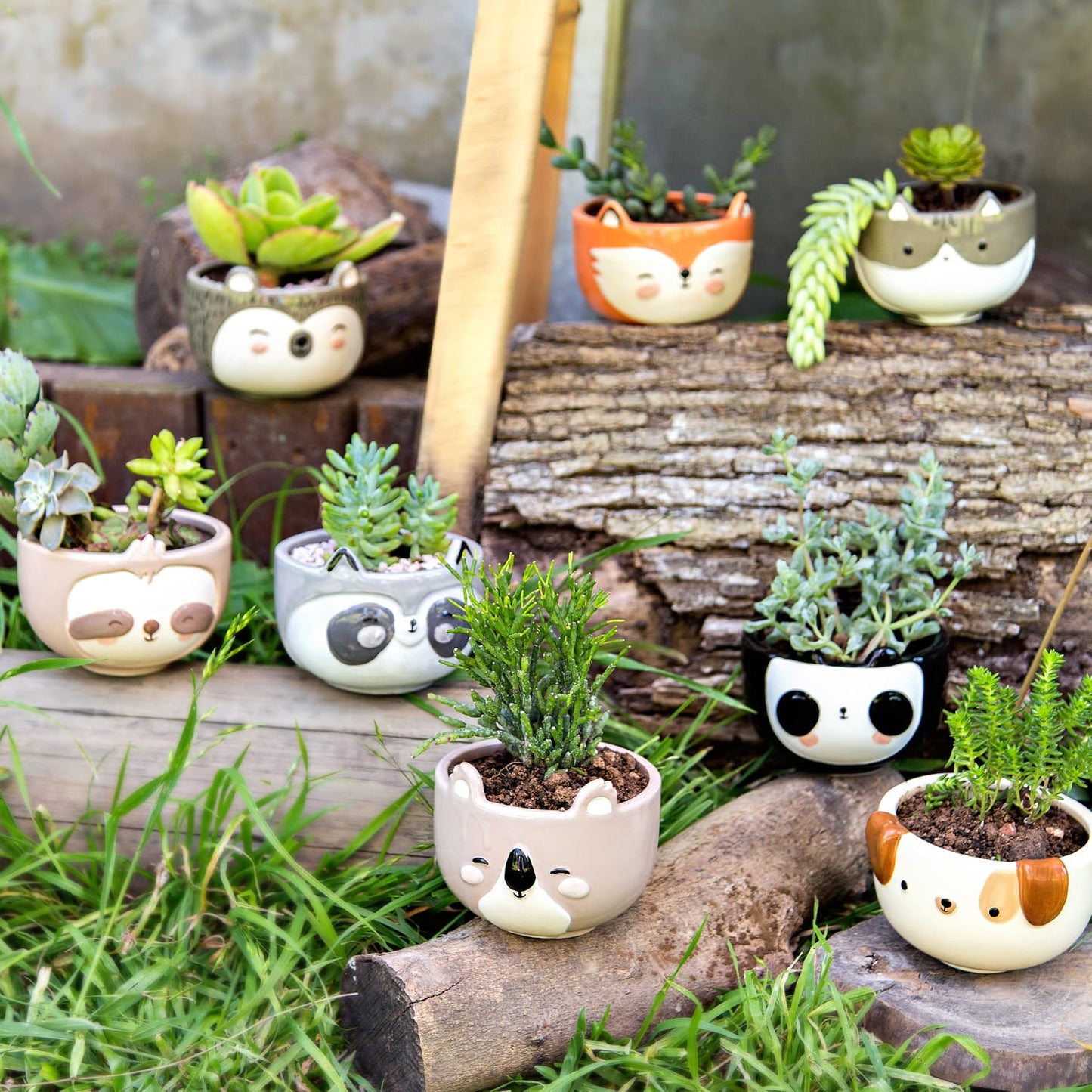 Panda Planter