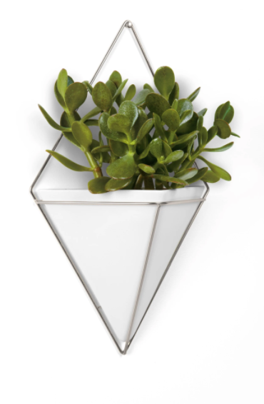 Trigg Large Wall Display White & Nickle