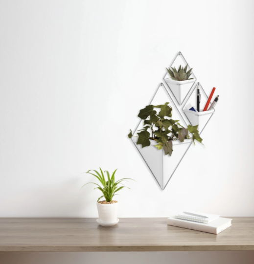 Trigg Large Wall Display White & Nickle
