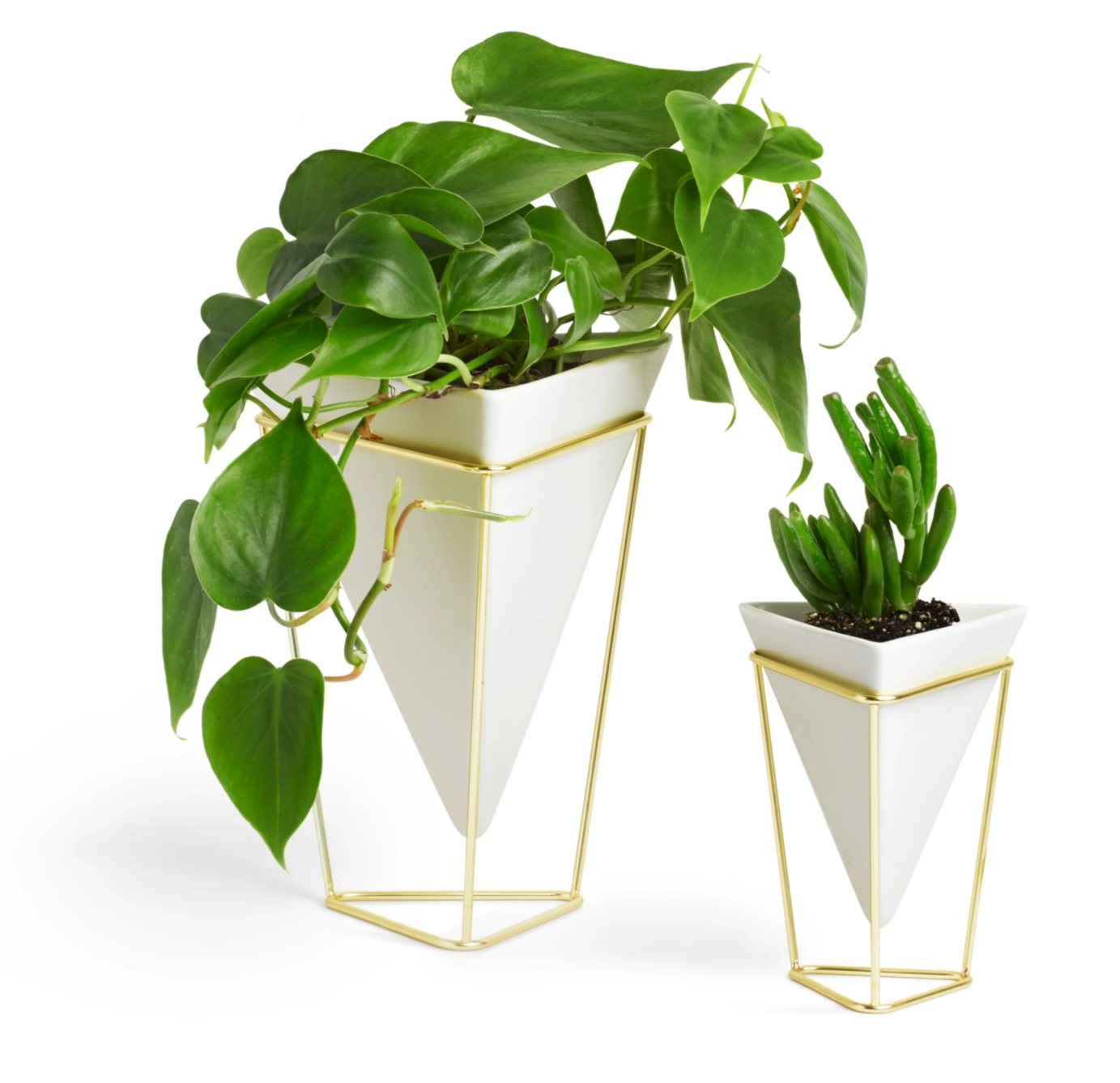 Trigg White & Brass Tabletop Planter - Set of 2