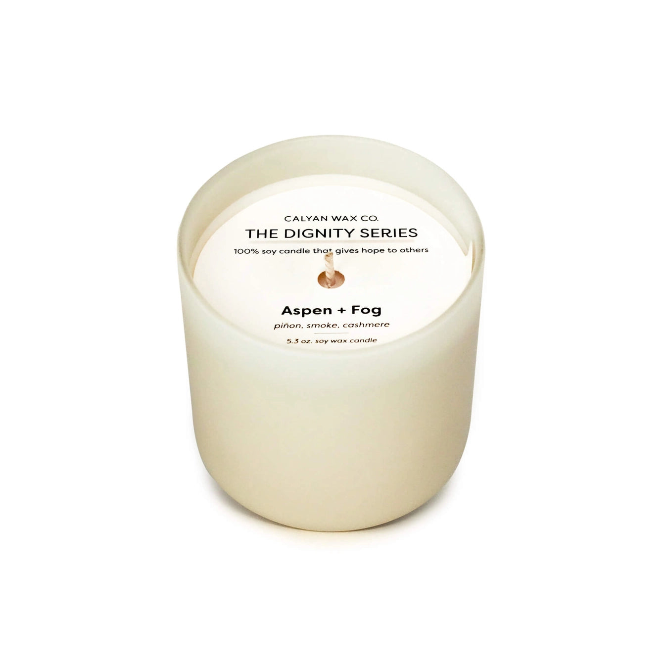 Dignity Series Soy Candle Aspen + Fog