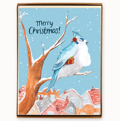 Holiday Blue Jay Boxed Cards