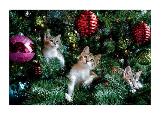 Kittens In Xmas Tree Christmas Card