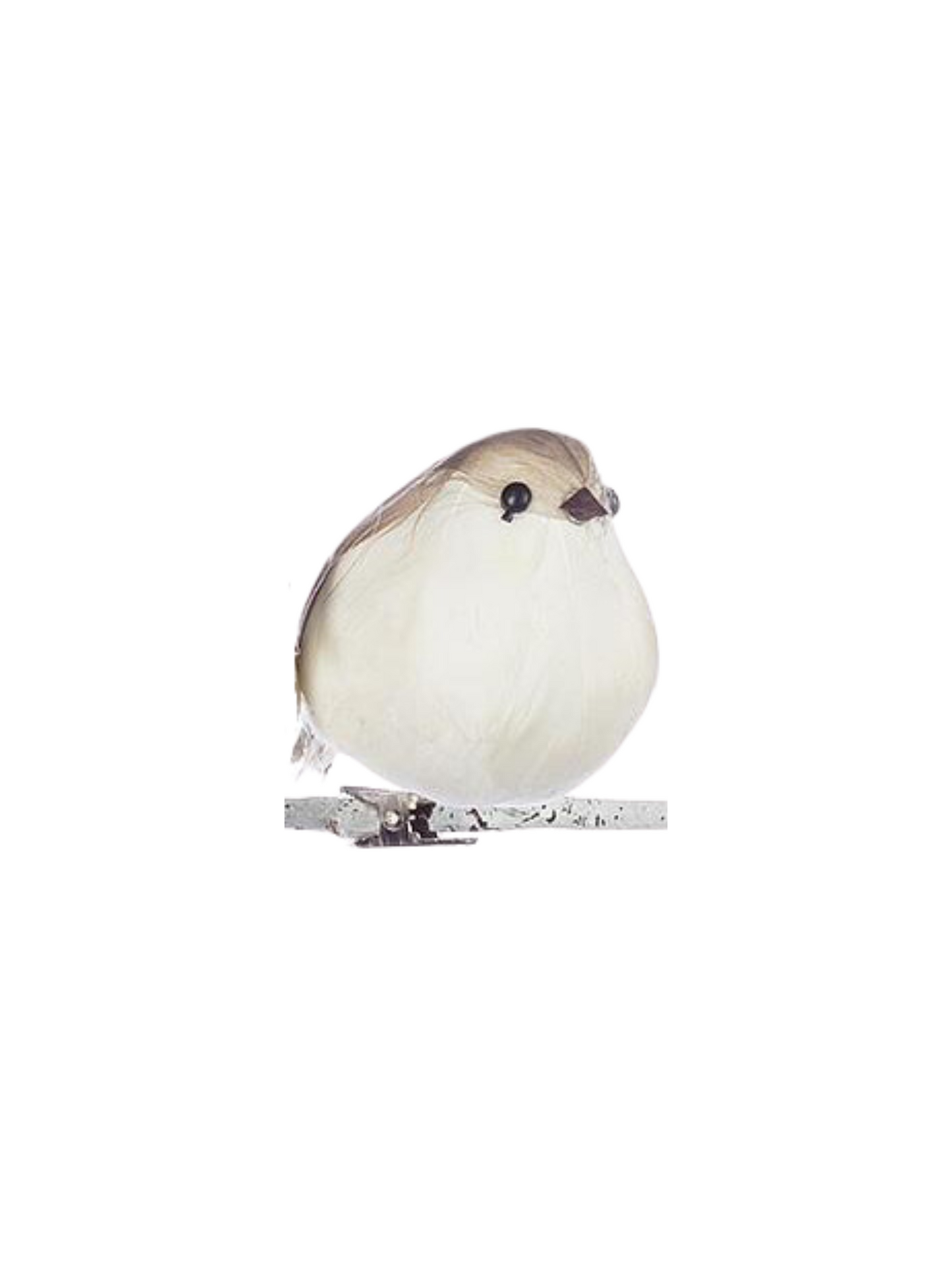 Md Plump Bird Clip