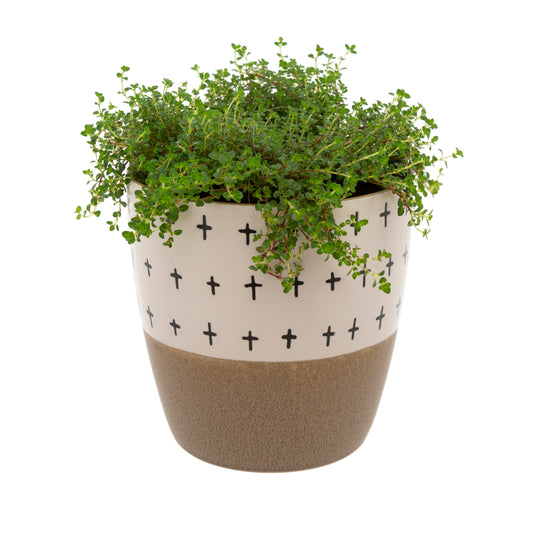 Doodle Pot Taupe