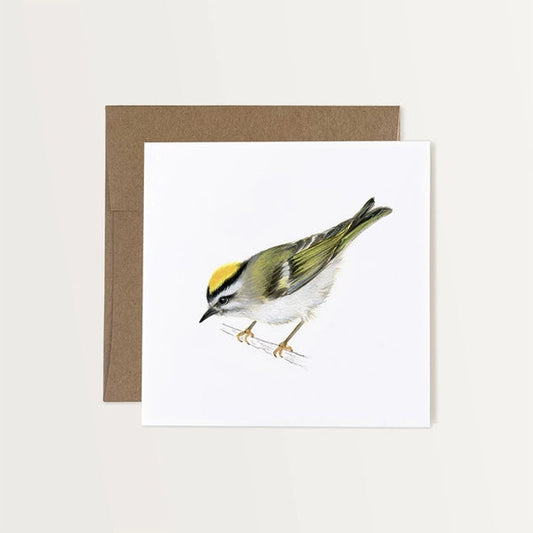 Golden-crowned Kinglet Art Card