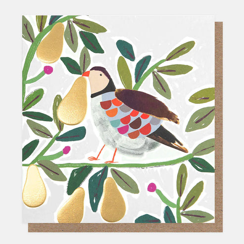 Partridge and Robin Card