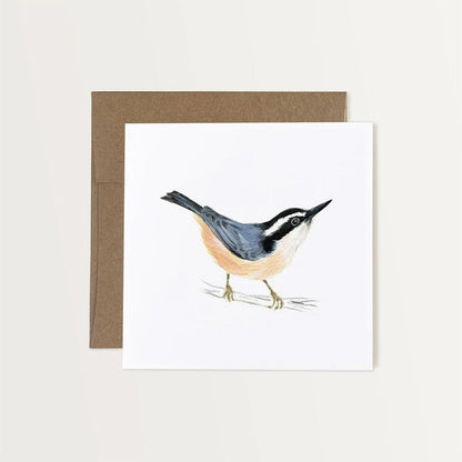 Red-breasted Nuthatch Card