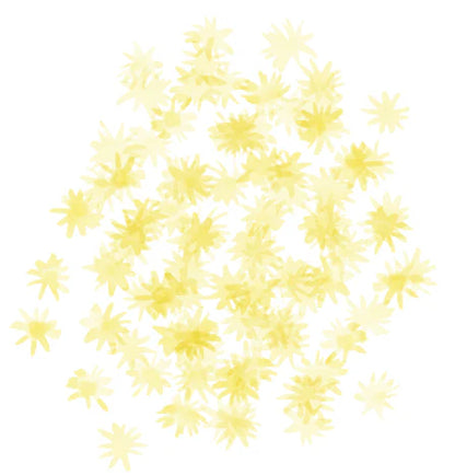 Shupatto Compact Reusable Bag Medium Hana