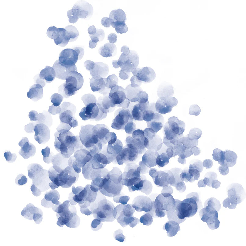 Shupatto Compact Reusable Bag Large Umi Ocean