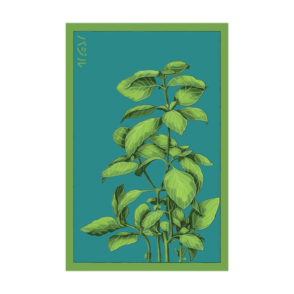 Basil Herb Seeds Packet
