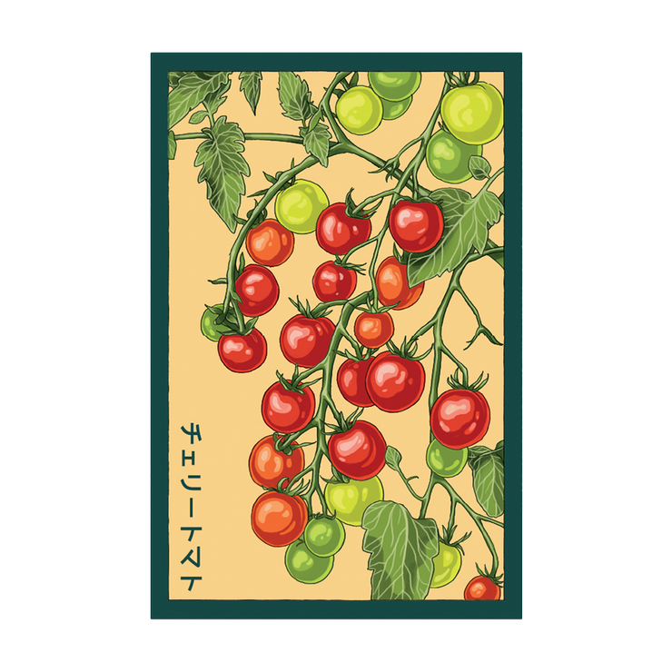 Cherry Tomato Vegetable Seeds Packet