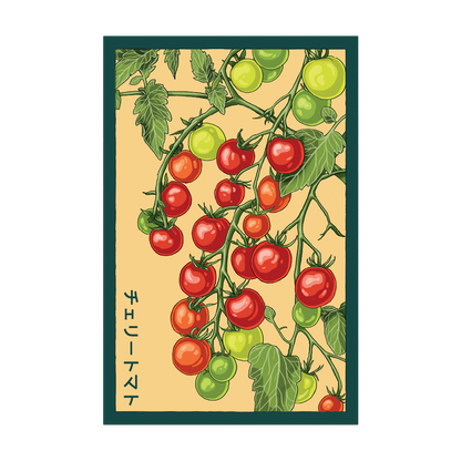 Cherry Tomato Vegetable Seeds Packet