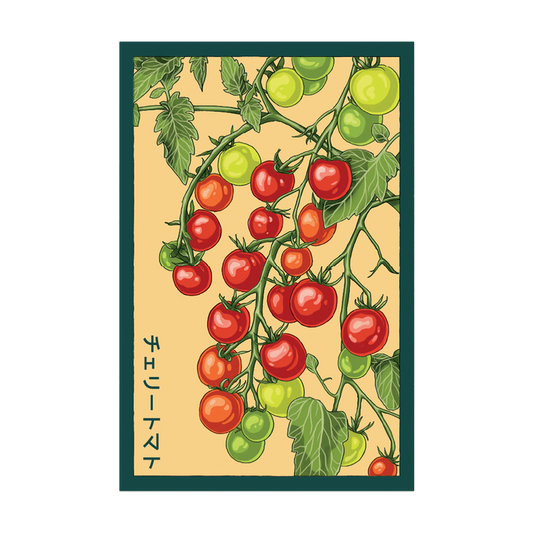 Cherry Tomato Vegetable Seeds Packet