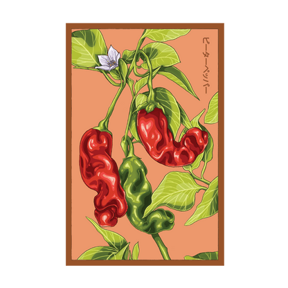 Peter Pepper Vegetable Seeds Packet