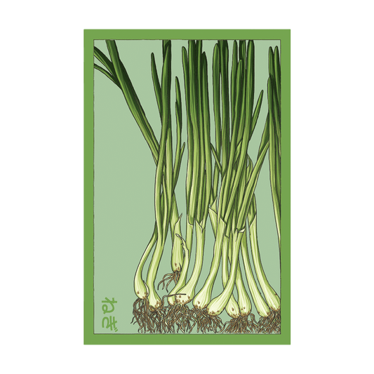 Scallions Vegetable Seeds Packet