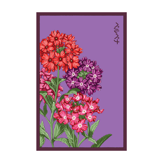 Verbena Flower Seeds Packet
