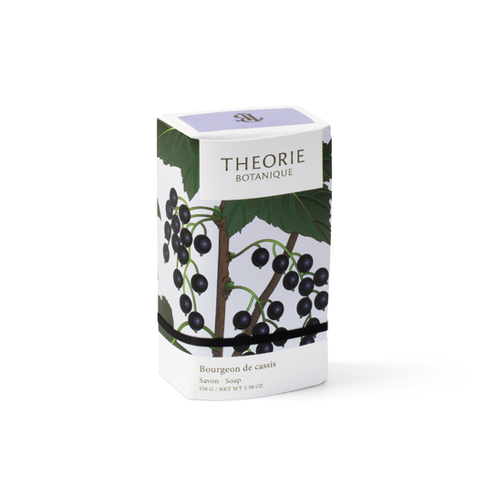 Therorie Budling Of Cassis Soap