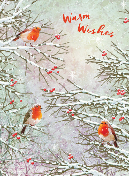 Robins Holiday Boxed Cards