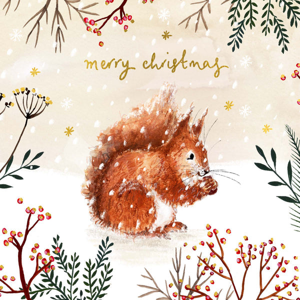 Squirrel Merry Christmas Card