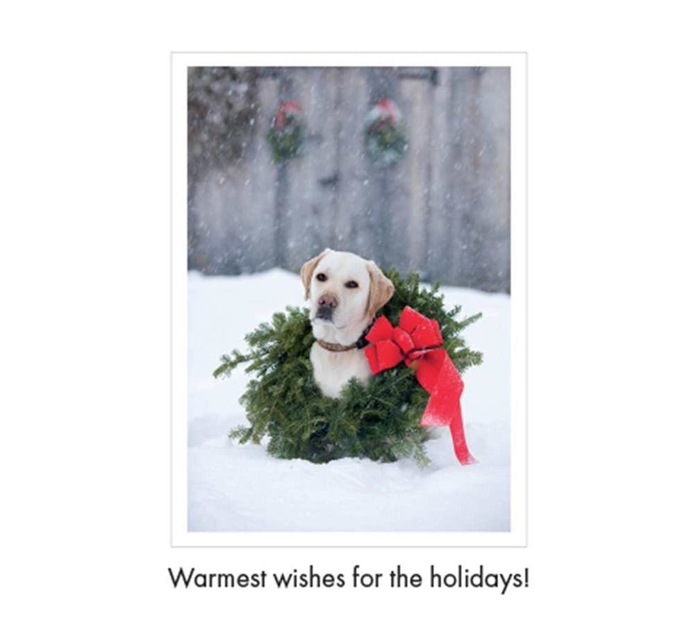 Dog in a Wreath Christmas Card