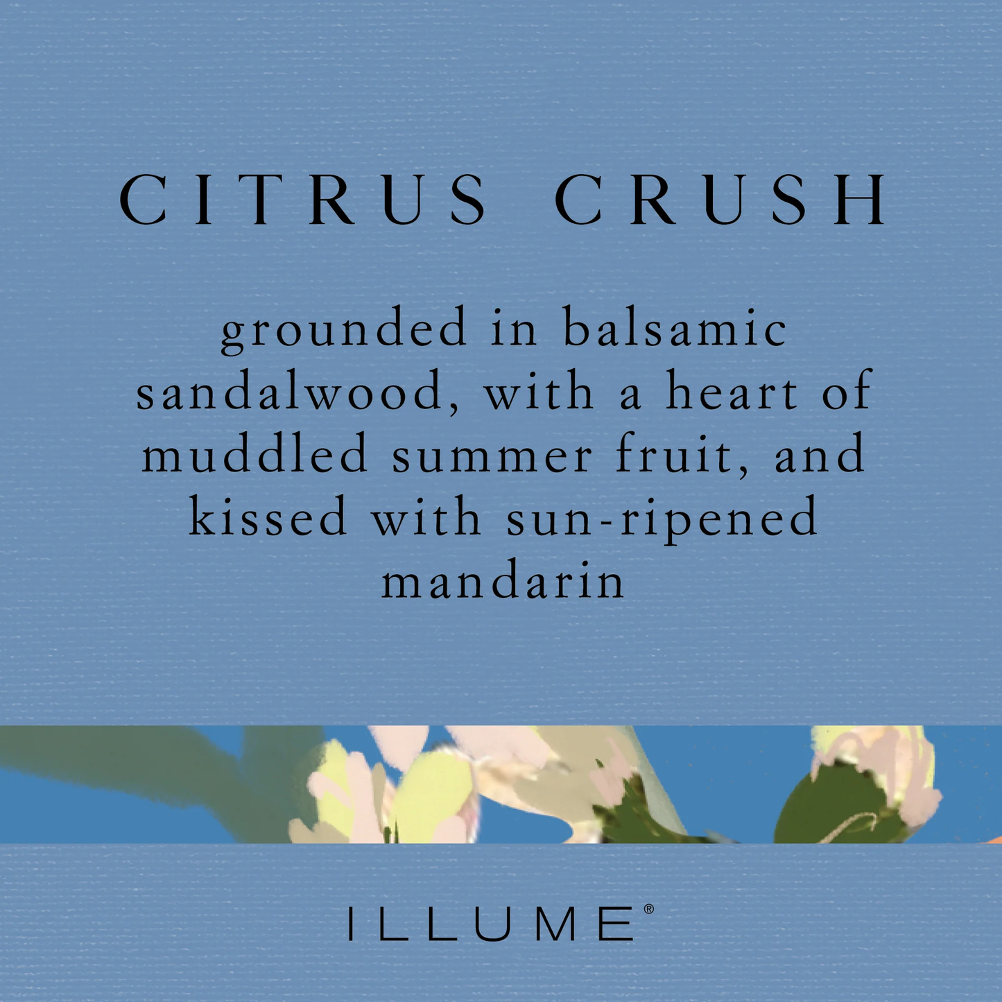 Citrus Crush Demi Vanity Tin Candle