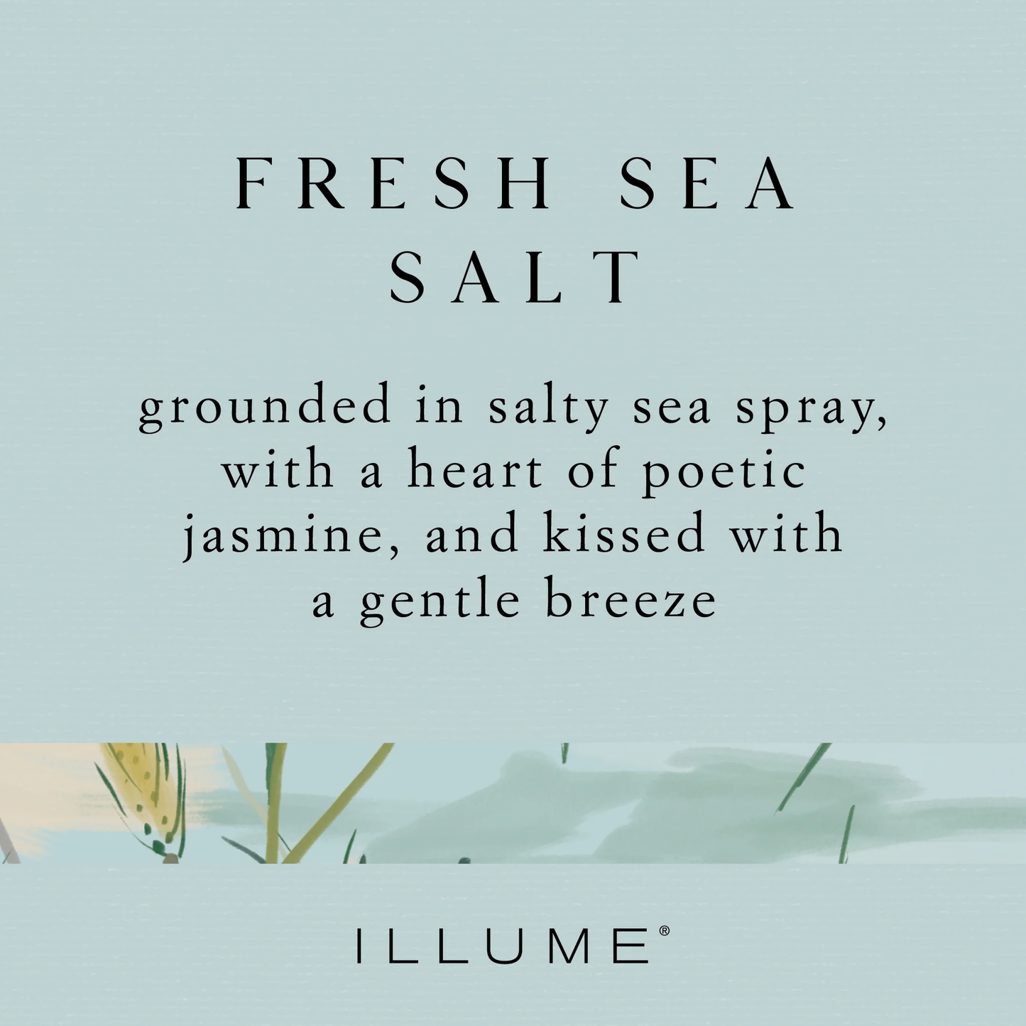 Fresh Sea Salt Vanity Tin Candle