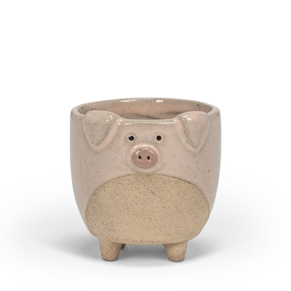 Pig Planter Small