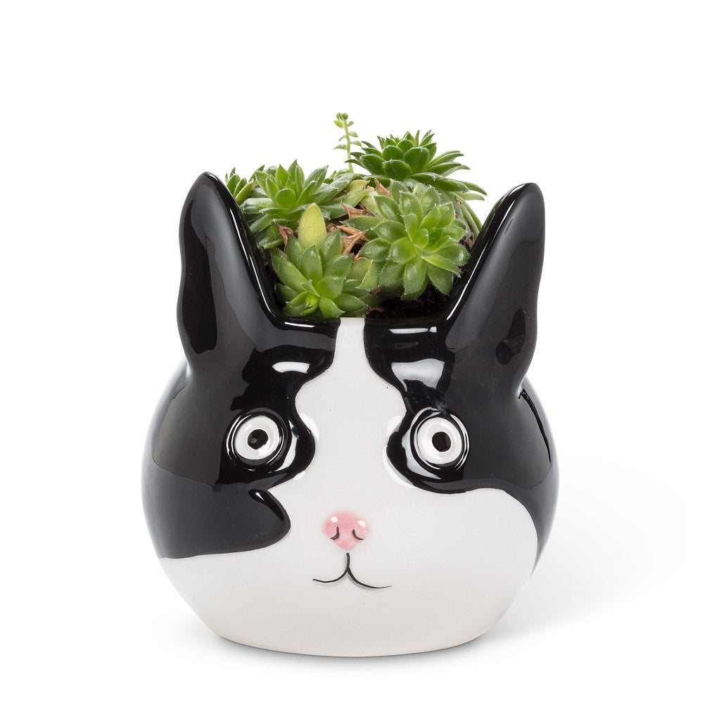 Cat Head Planter Small