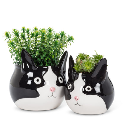 Cat Head Planter Small