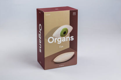 Organs Eye Storage Box