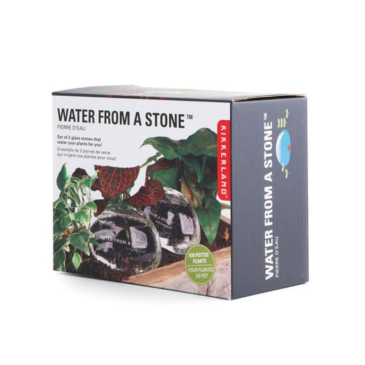 Water From A Stone