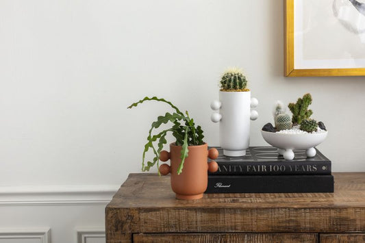 Farley Vase / Planter