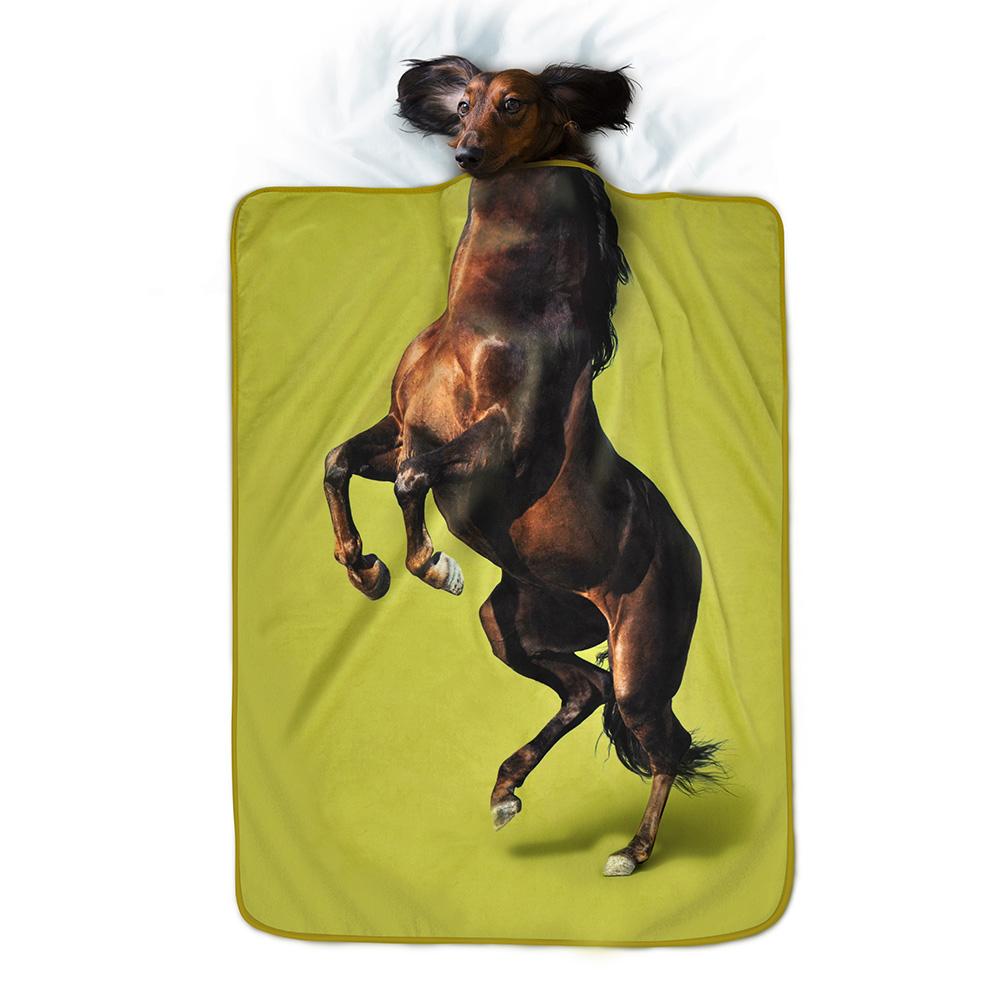 Pet Blanket Horse